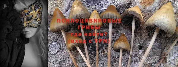 стаф Балабаново