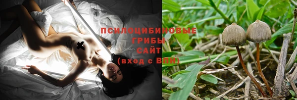 первитин Белоозёрский